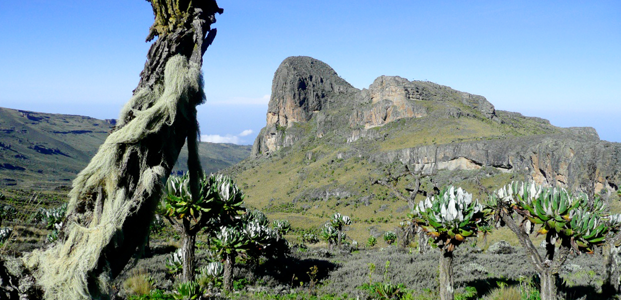 3 Days Mount Elgon Trek
